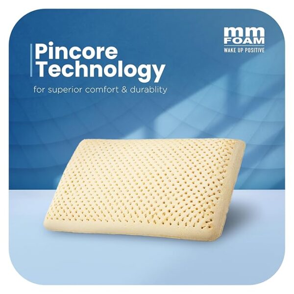 LATEX INVEX PILLOW 1