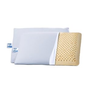 LATEX INVEX PILLOW